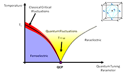 Quantum Ferroelectrics